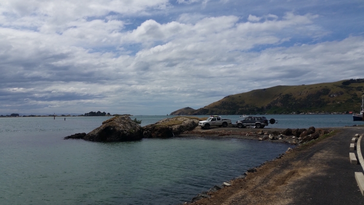 Weller's Rock, Otago Harbour